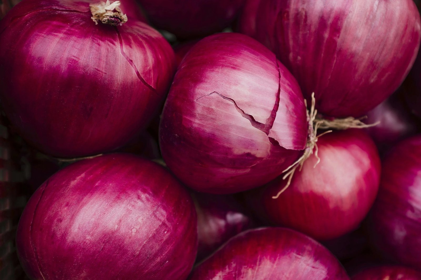 Onions