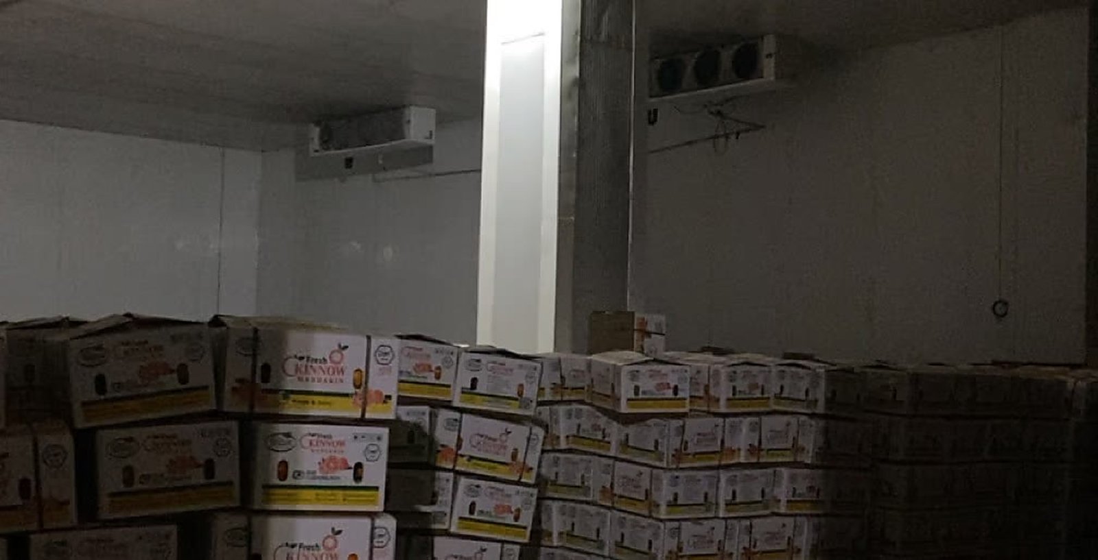 Kinnow Cold Storage