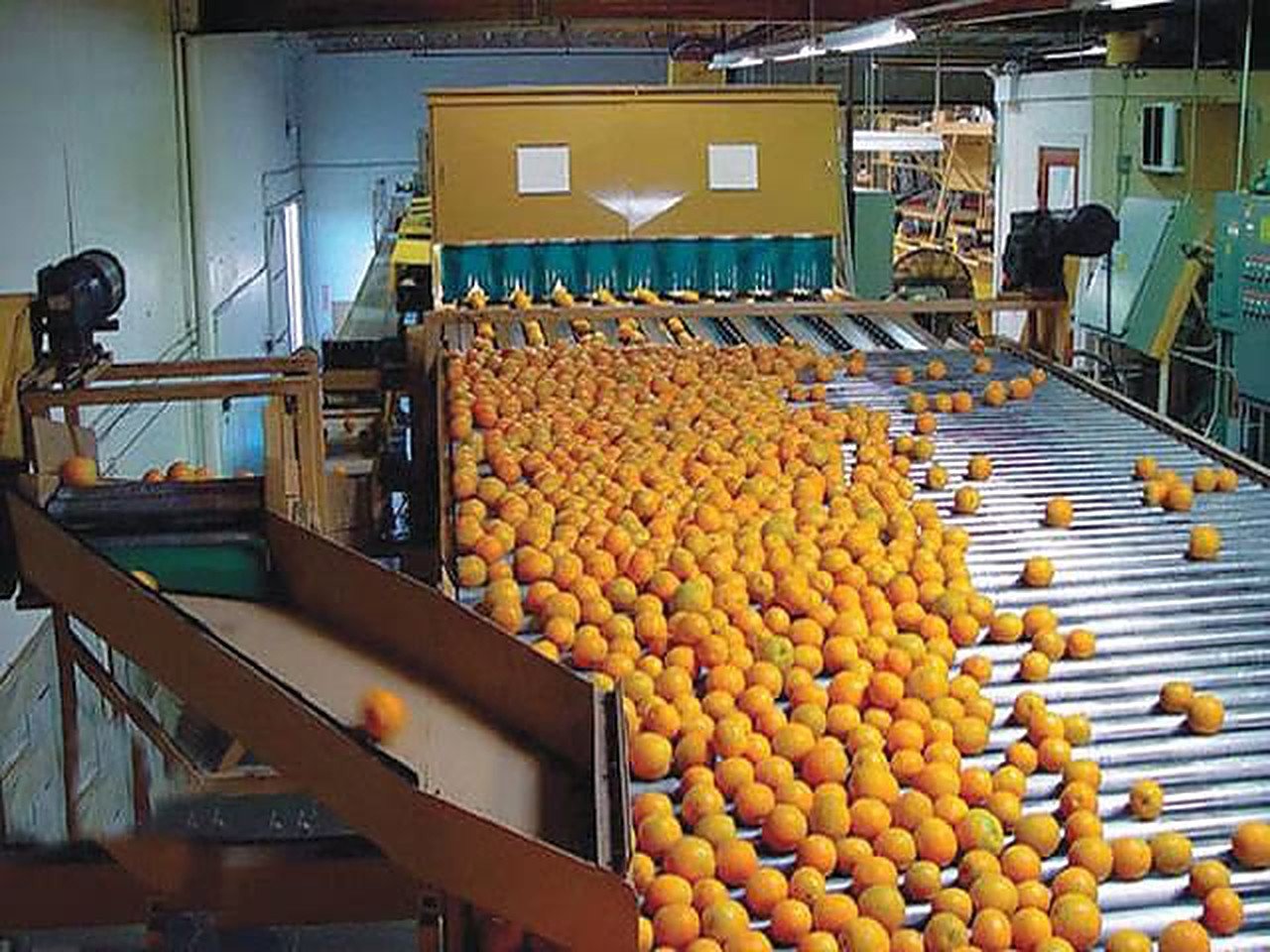 Kinnow Processing Unit
