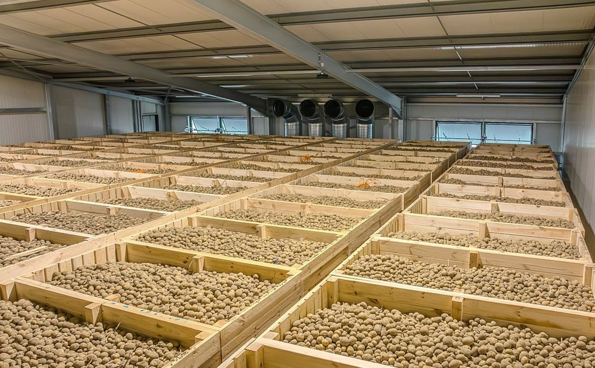 Potato Cold Storage